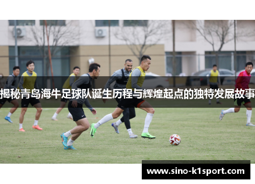 揭秘青岛海牛足球队诞生历程与辉煌起点的独特发展故事 揭秘青岛海牛足球队诞生历程与辉煌起点的独特发展故事