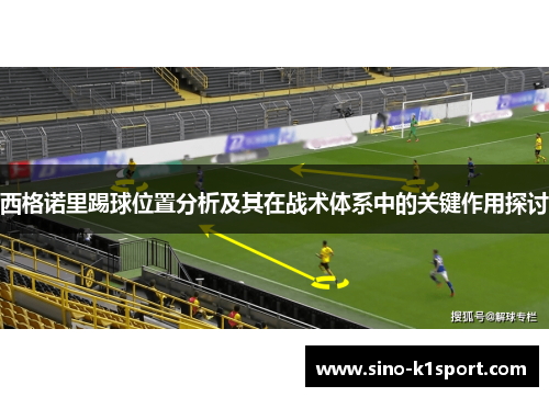 西格诺里踢球位置分析及其在战术体系中的关键作用探讨