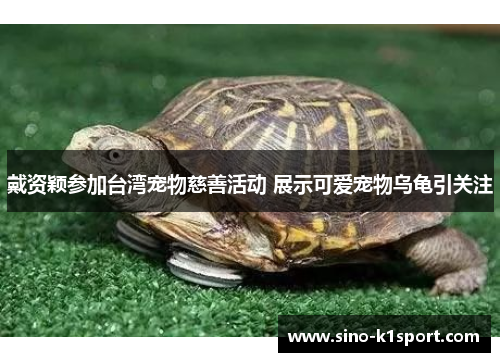 戴资颖参加台湾宠物慈善活动 展示可爱宠物乌龟引关注