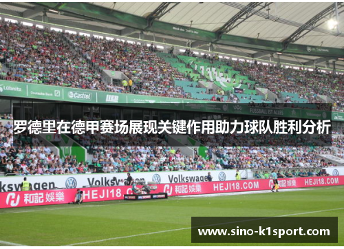 罗德里在德甲赛场展现关键作用助力球队胜利分析